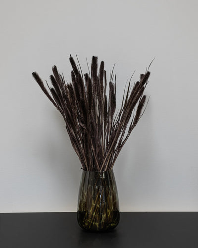 Setaria för dekorativ styling i inomhusmiljö – 3659 setaria 1