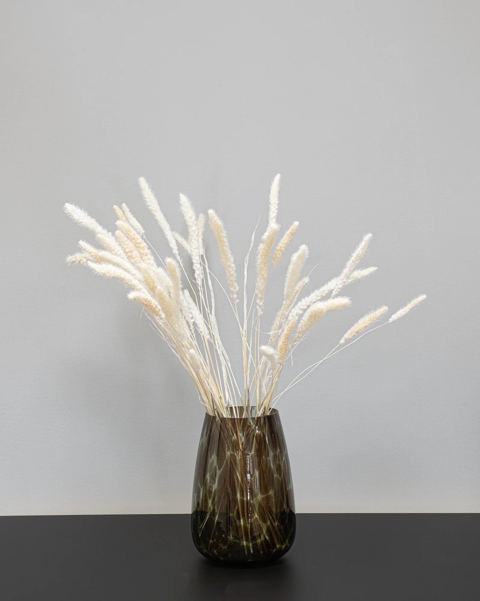 Setaria – torkade blommor 40–60 cm