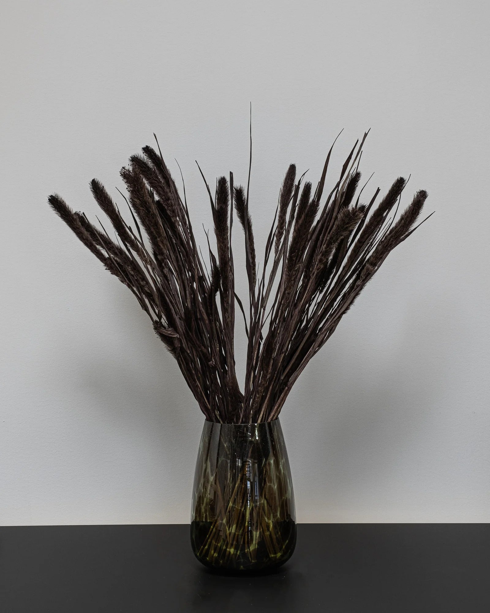 Setaria för buketter och blomsterarrangemang