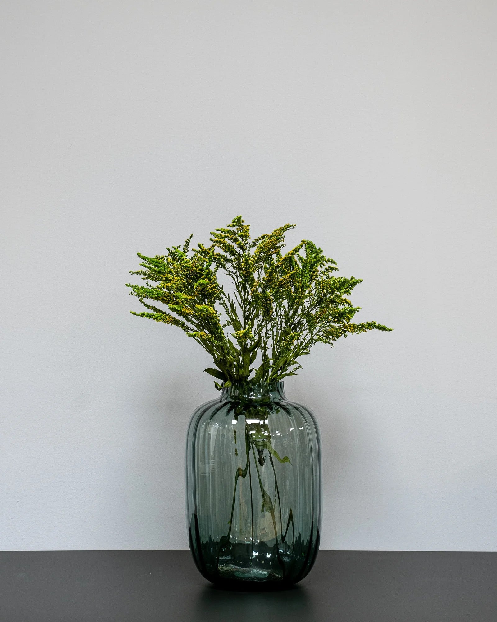 Solidago Grön som dekorativ produkt från Forever Flora