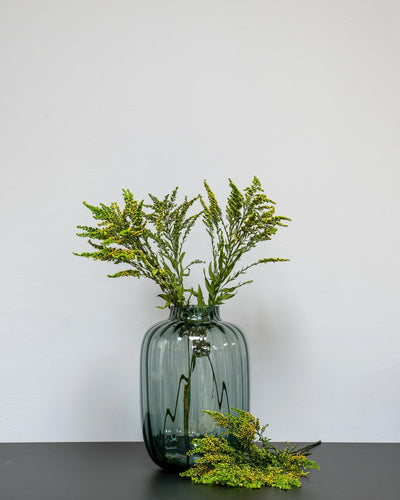 Solidago Grön för dekorativ styling i inomhusmiljö