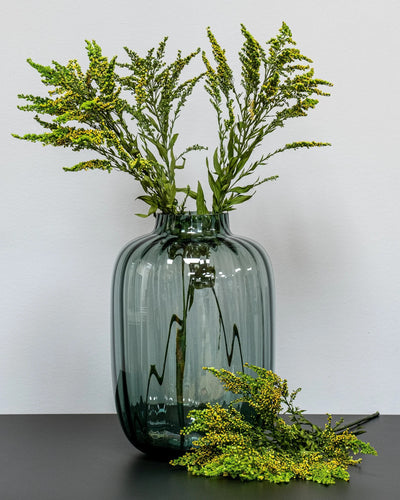 Närbild på detaljerna i Solidago Grön