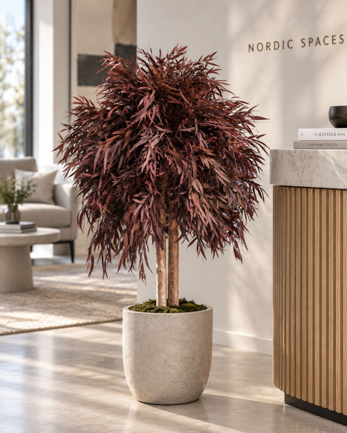 Preserved Eucalyptus Tree Nicoli – Shrub Tree
