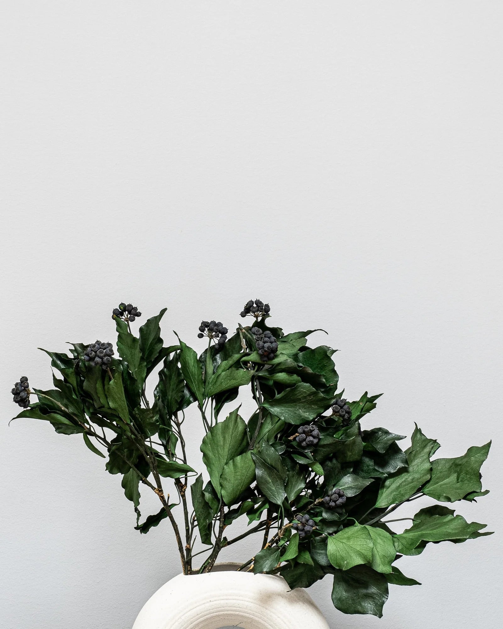 Närbild på detaljerna i Murreva Ivy
