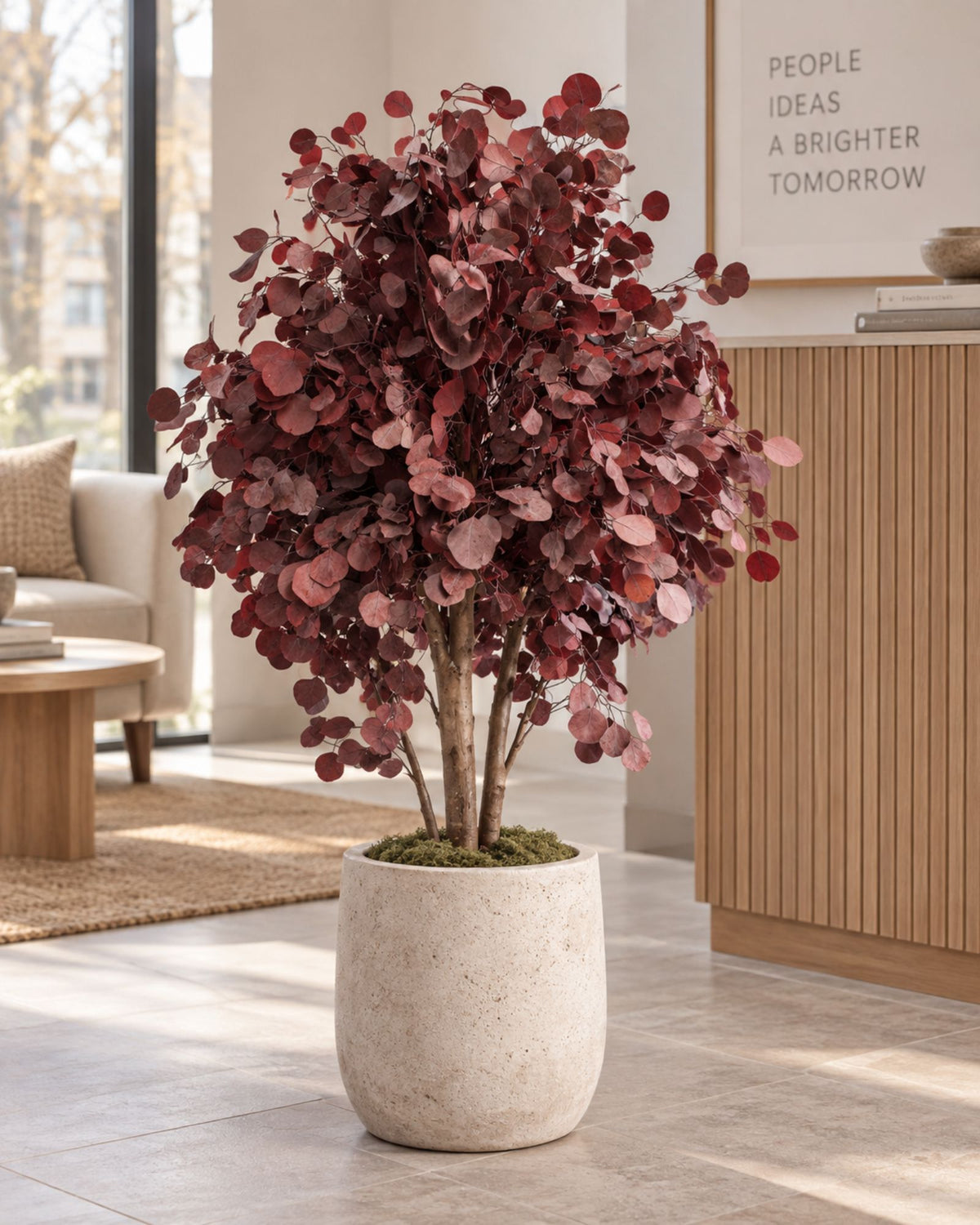 Preserved Eucalyptus Tree Populus – Shrub Tree