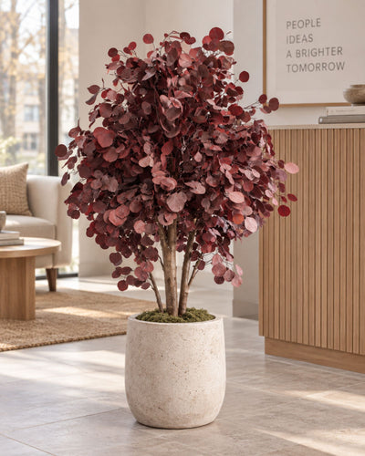 Preserved Eucalyptus Tree Populus – Shrub Tree