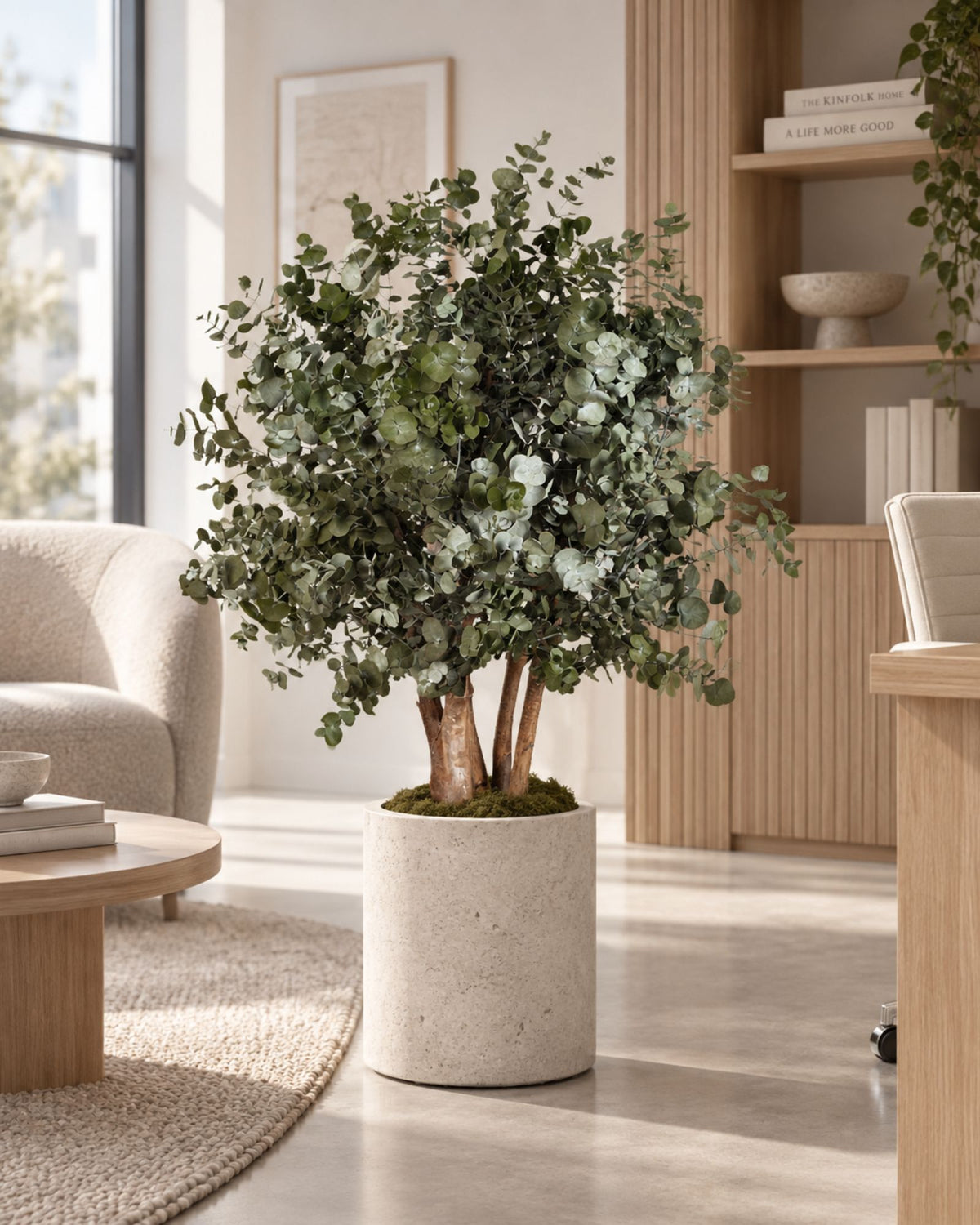 Preserved Eucalyptus Tree Populus – Shrub Tree