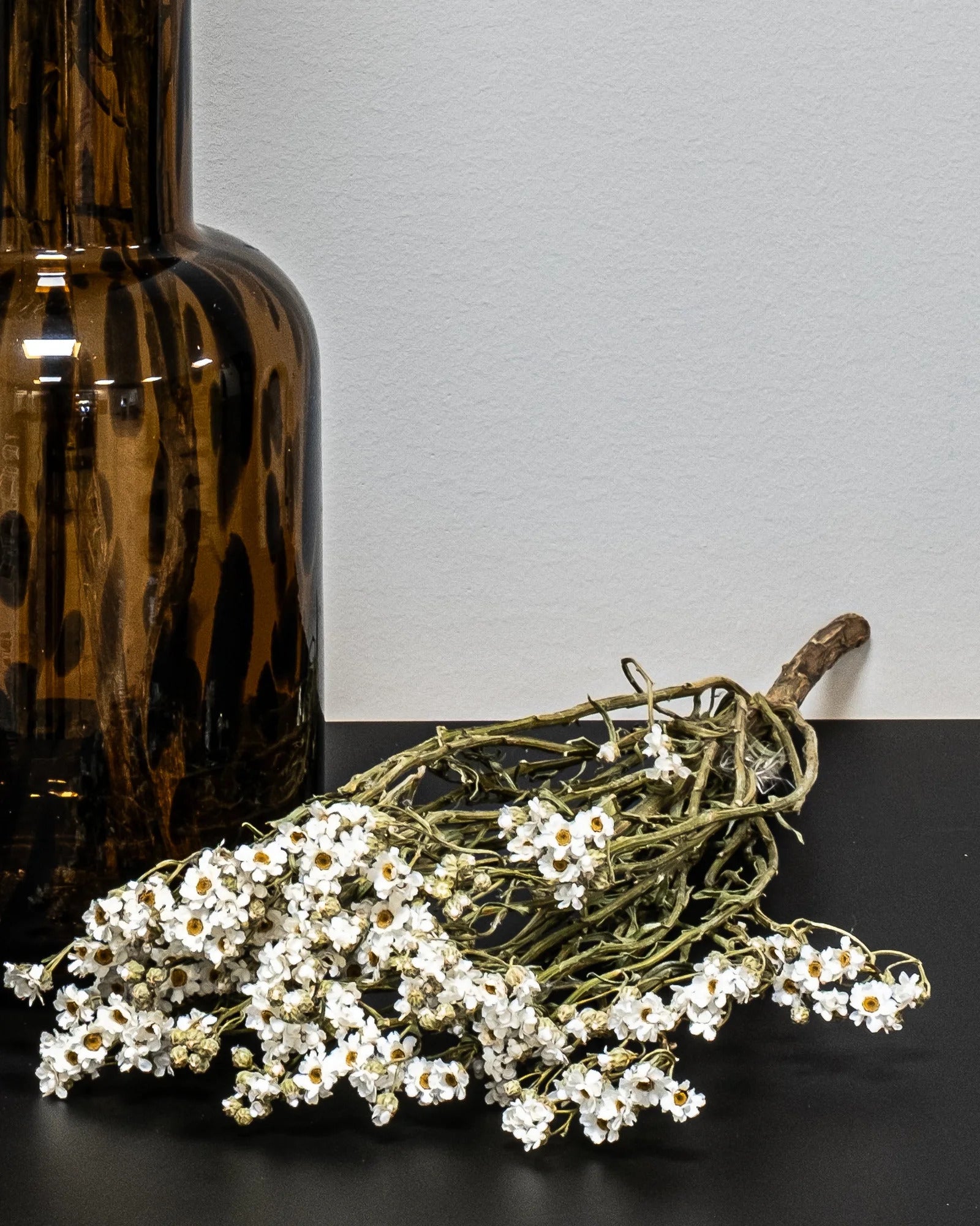 Närbild på torkade blommor i Ixodia