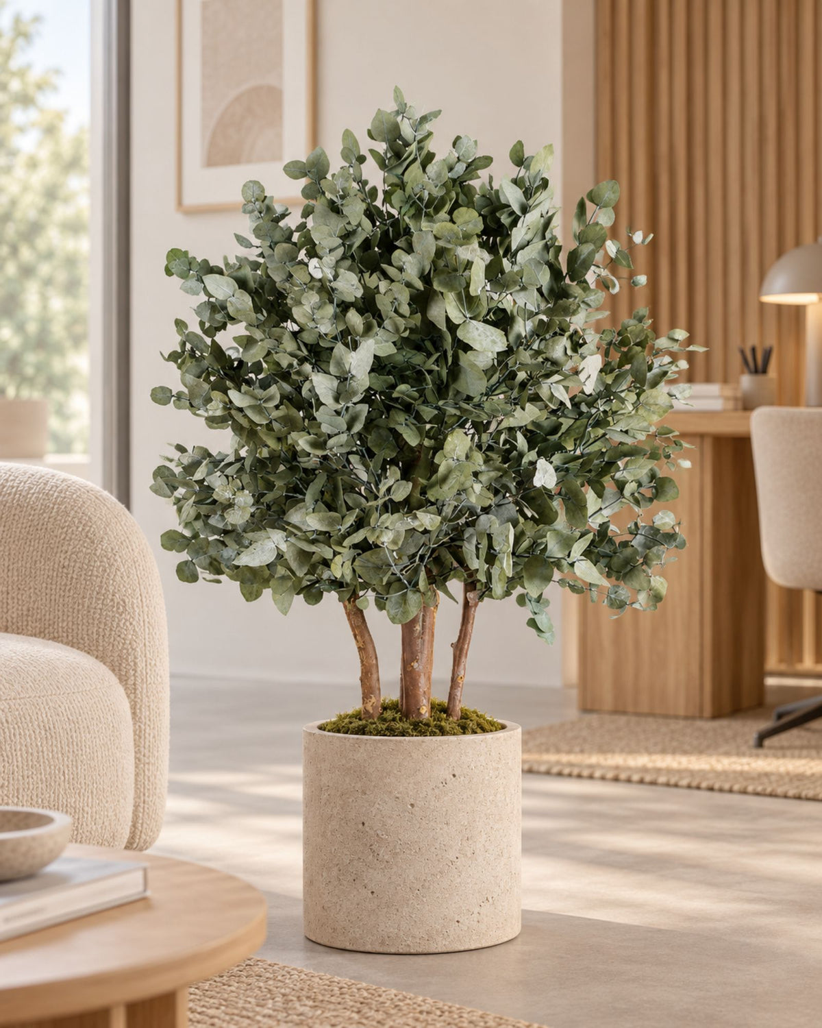 Preserved Eucalyptus Tree Populus – Shrub Tree