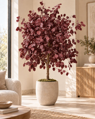 Preserved Eucalyptus Tree Nicoli – Full