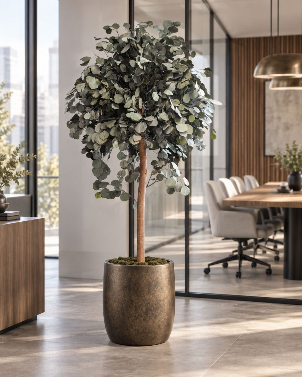 Preserved Eucalyptus Tree Populus – Crown