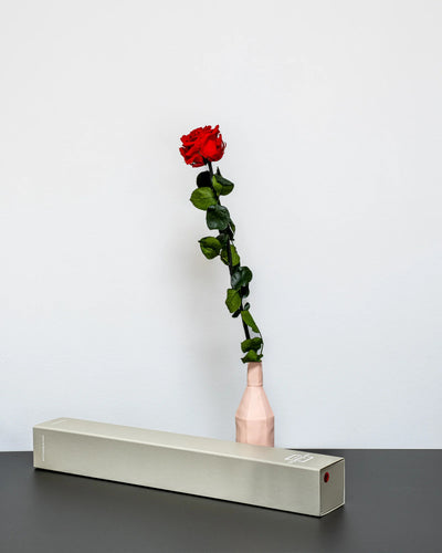 Singel Giftbox - V Rose för dekorativ styling i inomhusmiljö