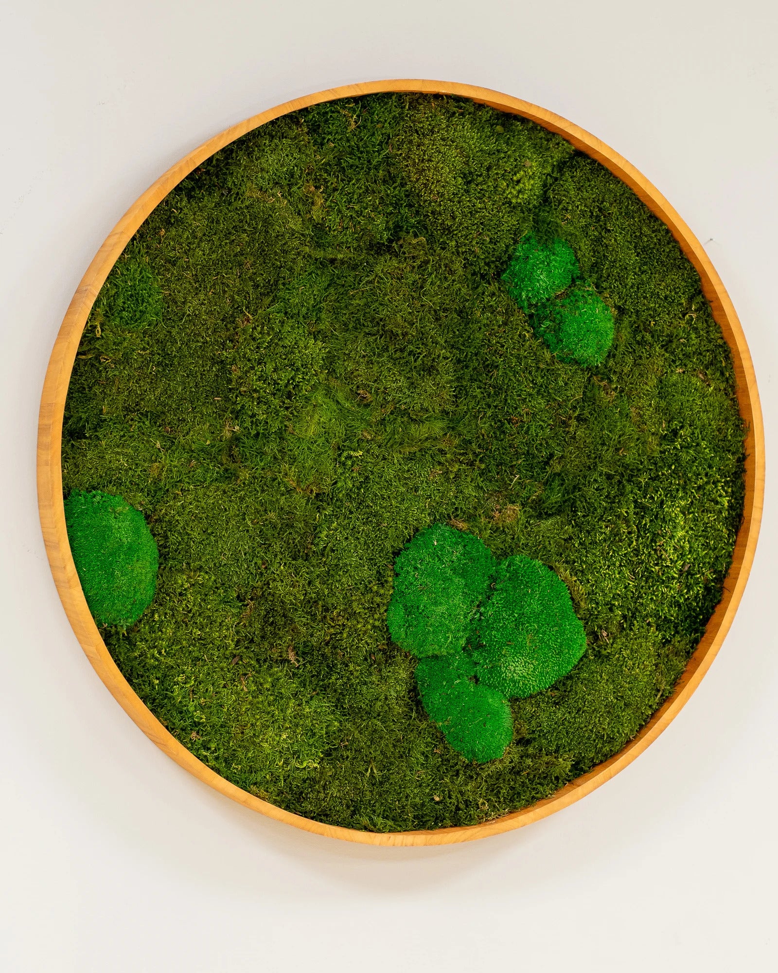 Detaljerad vy av Rund mosstavla mix med mossplatta och bollmossa med naturlig mossstruktur – Q 80 cm