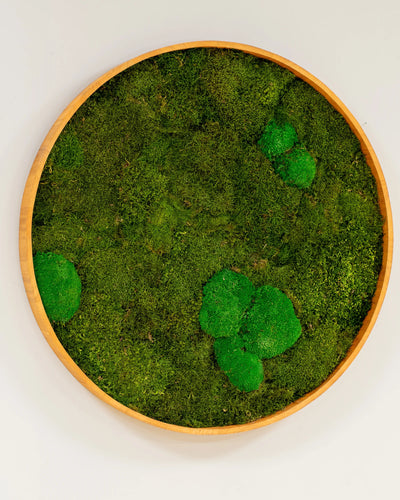 Detaljerad vy av Rund mosstavla mix med mossplatta och bollmossa med naturlig mossstruktur – Q 80 cm