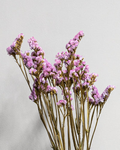 Risp/Statice Super som inslag i bevarade blomsterarrangemang