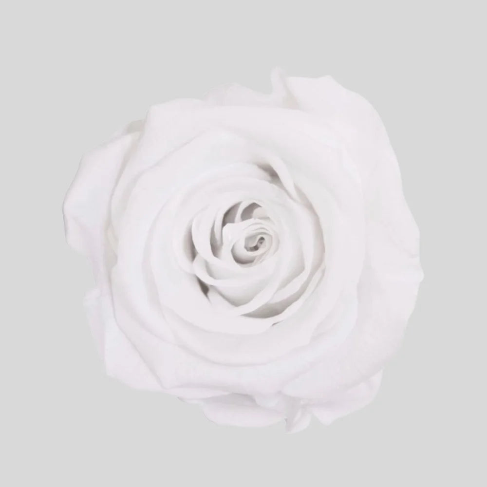 Evighetsros Box i Trä - Stor Rosbox som dekorativ produkt från Forever Flora