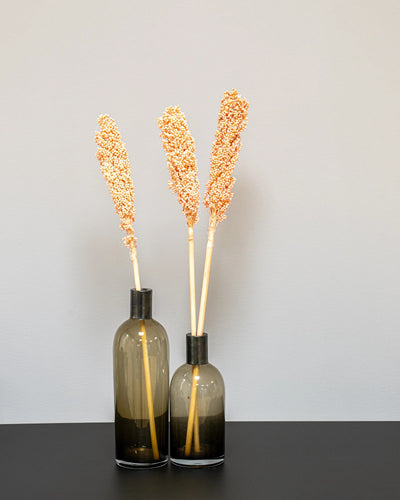 Detaljbild av Indian Corn – 5 st,