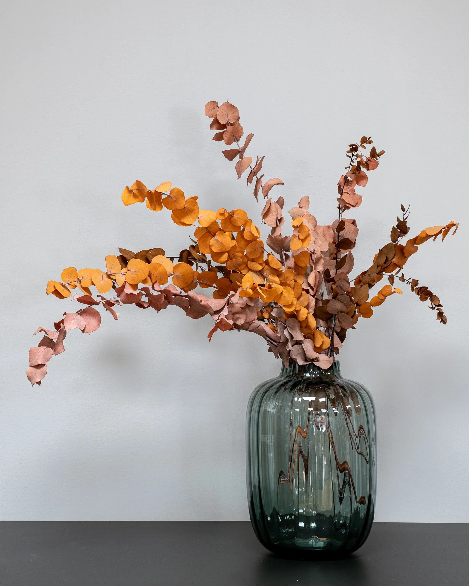 Eucalyptus Stuartiana – konserverad växt från Forever Flora i höst