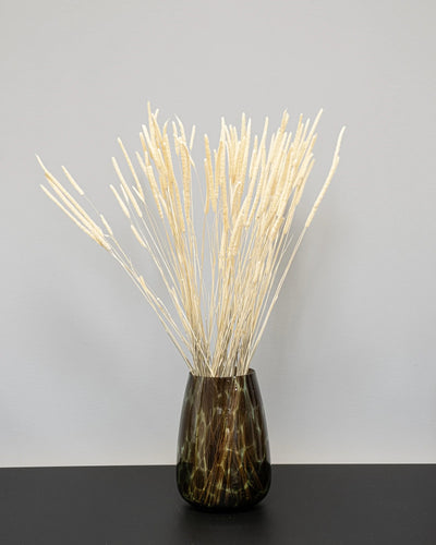 Phleum blekt vit – torkade blommor
