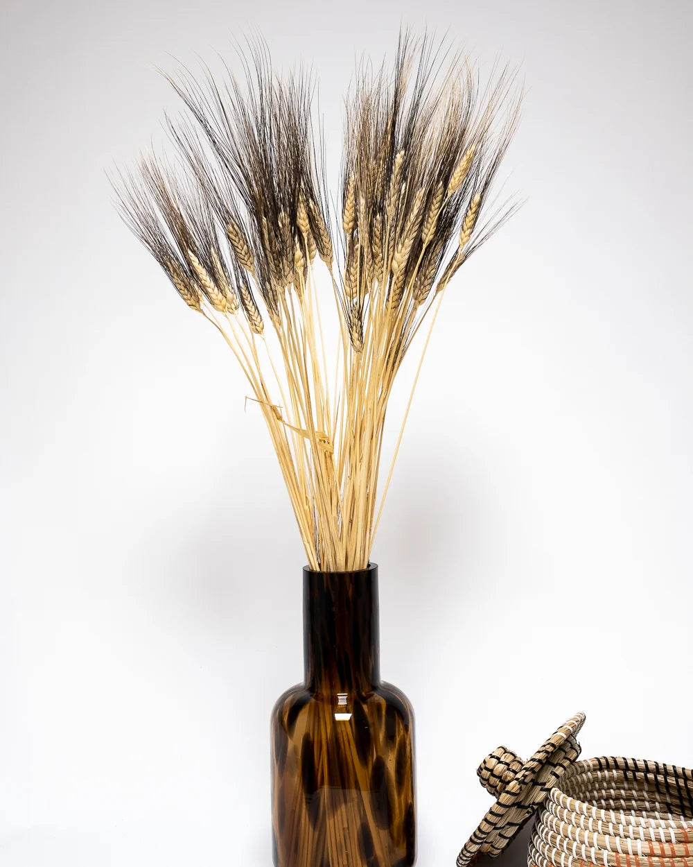 Triticum Vete som dekorativ produkt från Forever Flora
