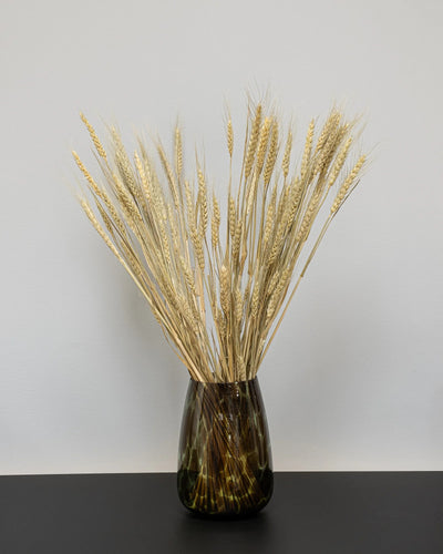 Torkat Triticum-vete, ca 70 cm