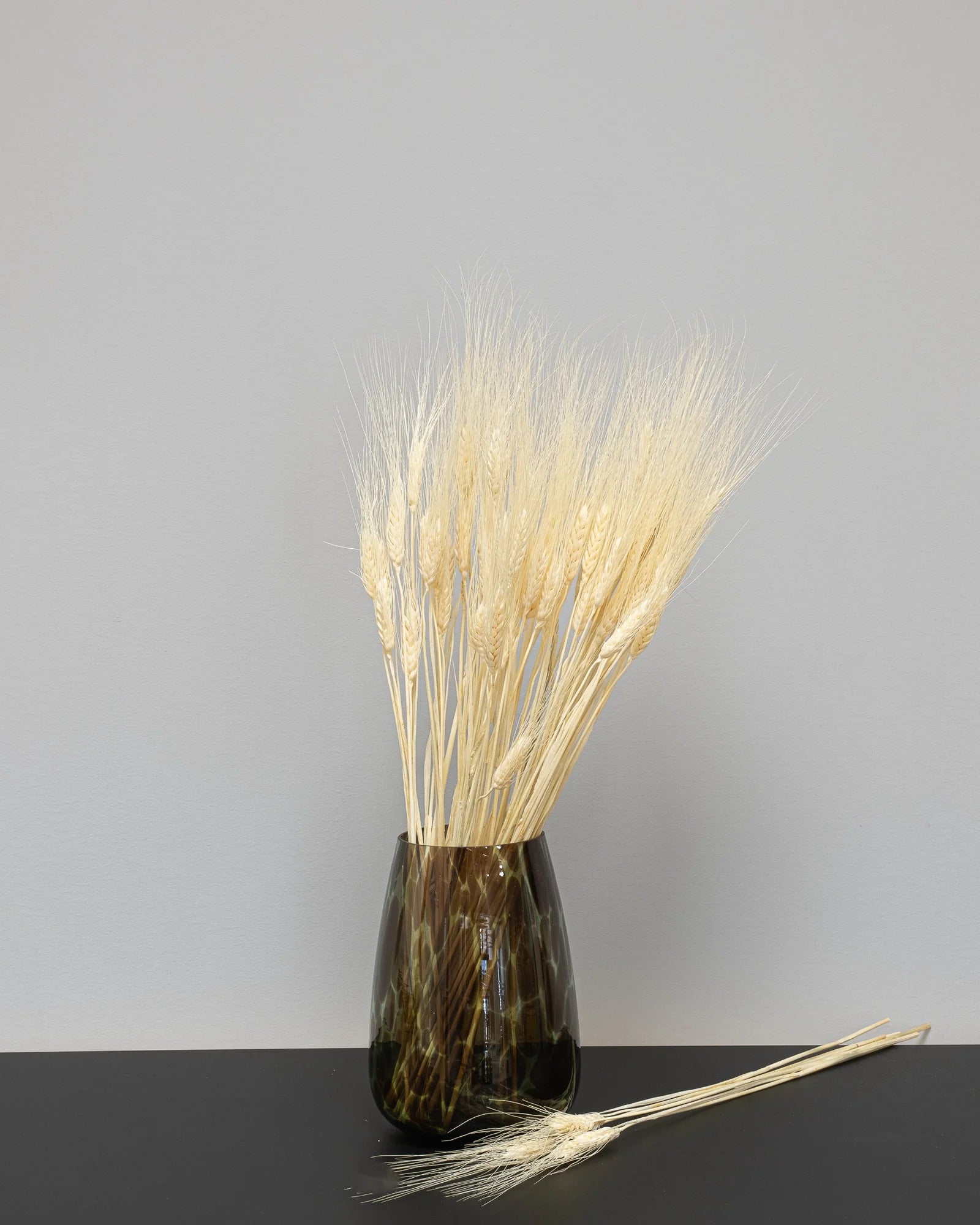 Detaljbild av Triticum Vete