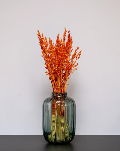 Havre Avena med botanisk form för vasdekoration – 868 havre orange 1