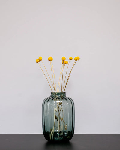 Craspedia/Solboll 10 st. för buketter och blomsterarrangemang