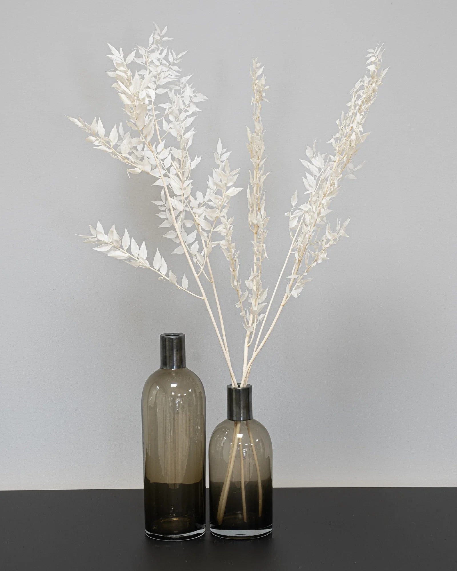 Torkad Ruscus 5 st. i Vit