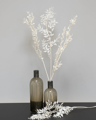 Ruscus 5 st. för buketter och blomsterarrangemang