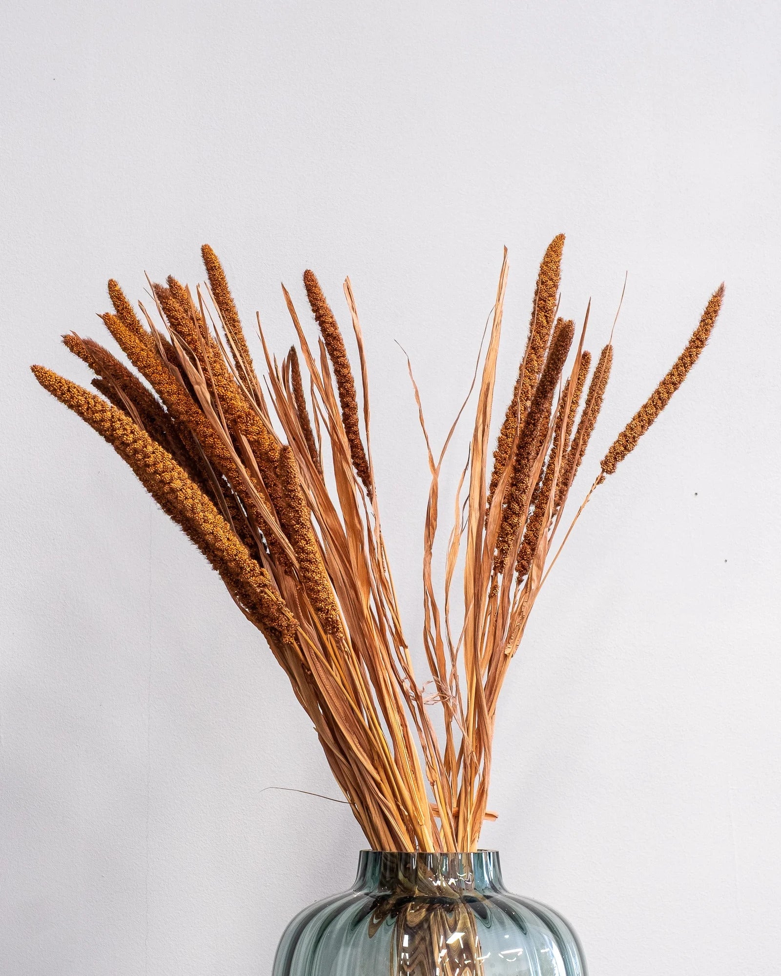 Durrasläktet, Sorghum för buketter och blomsterarrangemang