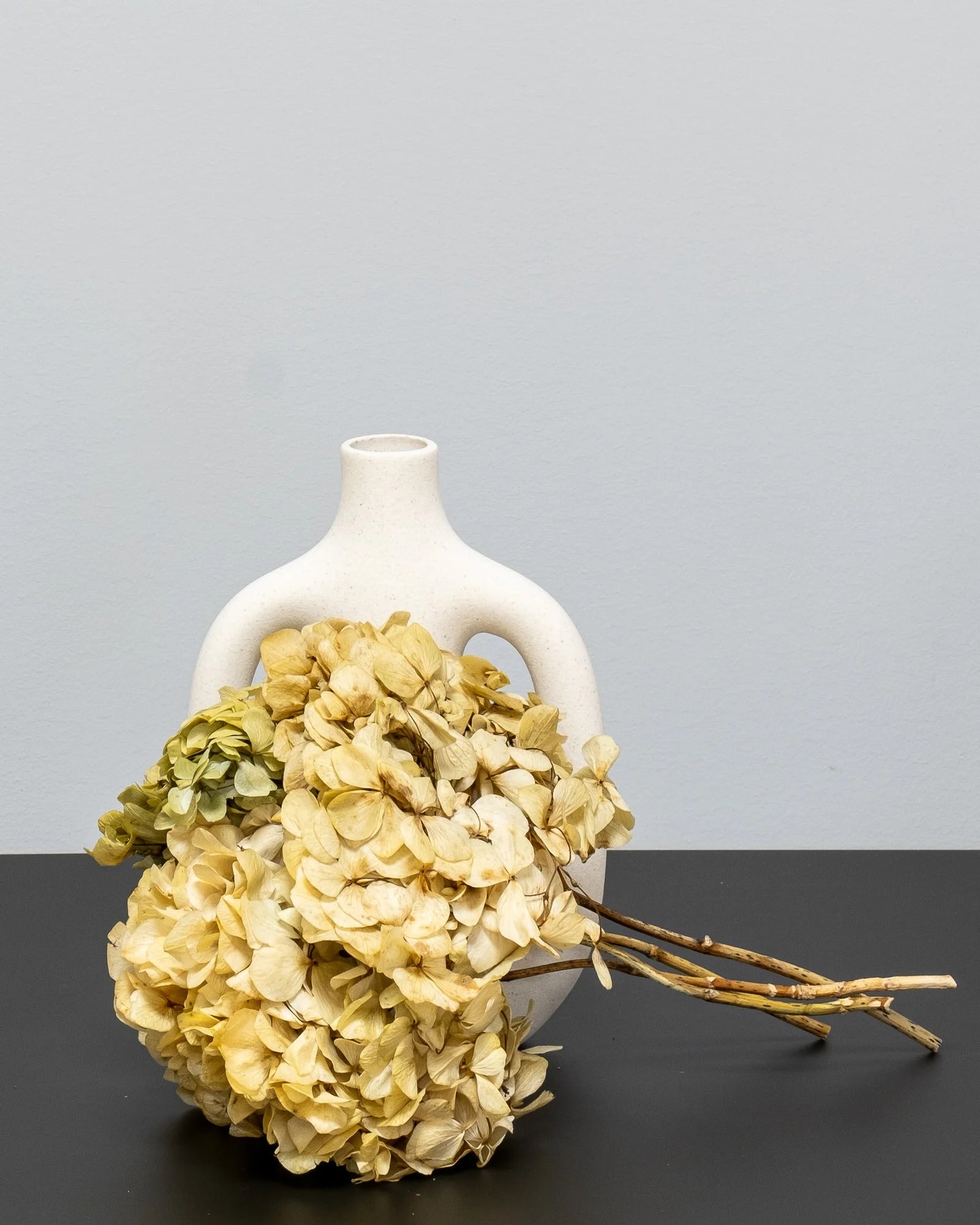 Hortensia Standard för buketter och blomsterarrangemang