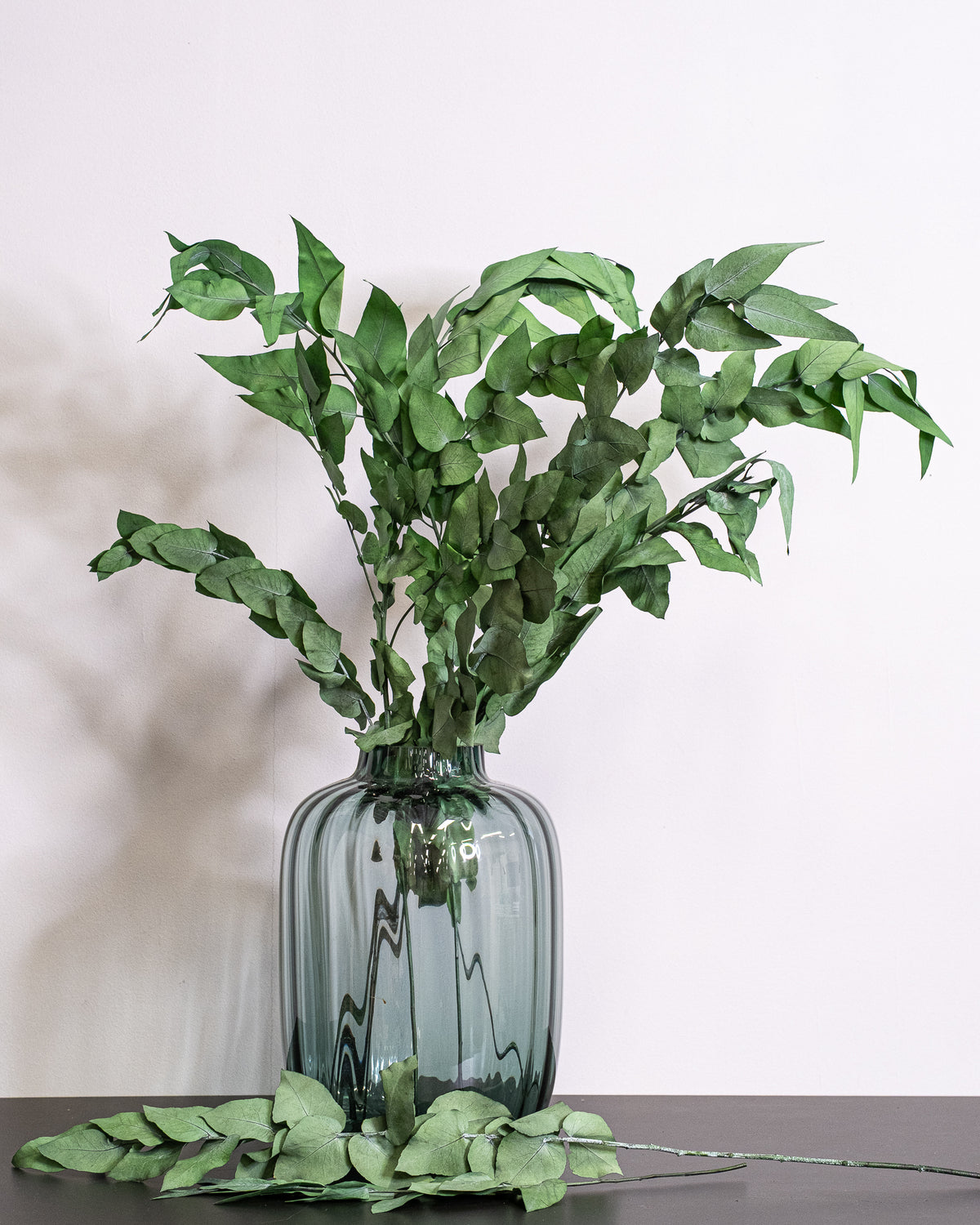 Ivy – Preserved Plant