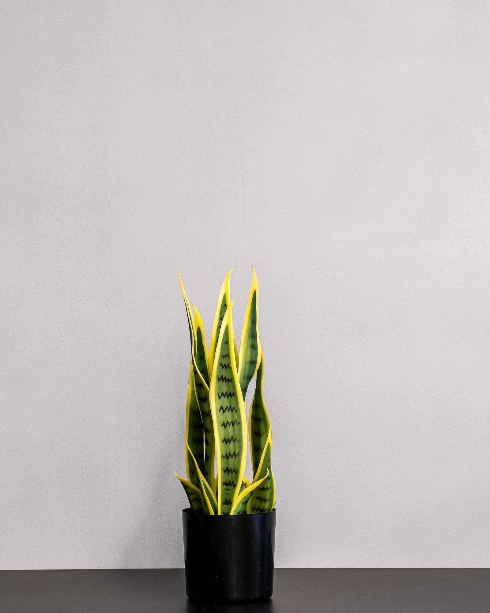 Konstgjord Sansevieria i melaminkruka – 40 cm