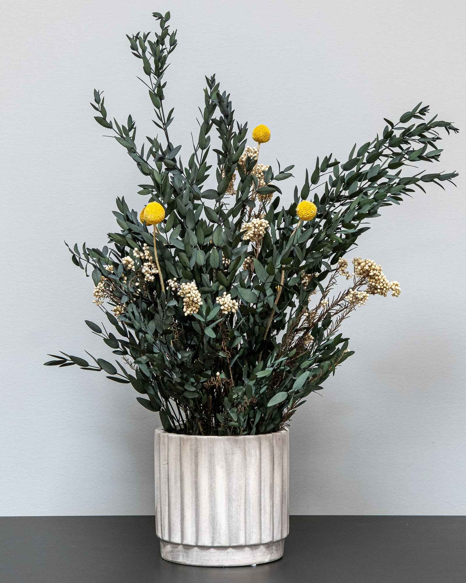Konserverad Sommar Parvifolia krukväxt för styling av entré, kontor eller butik