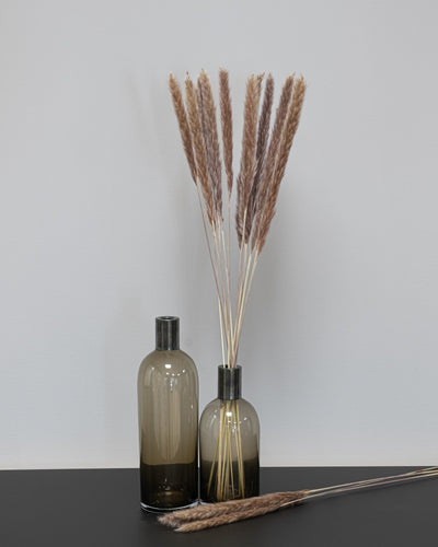 Mini Pampasgräs – 10 st. 70 cm i Svart