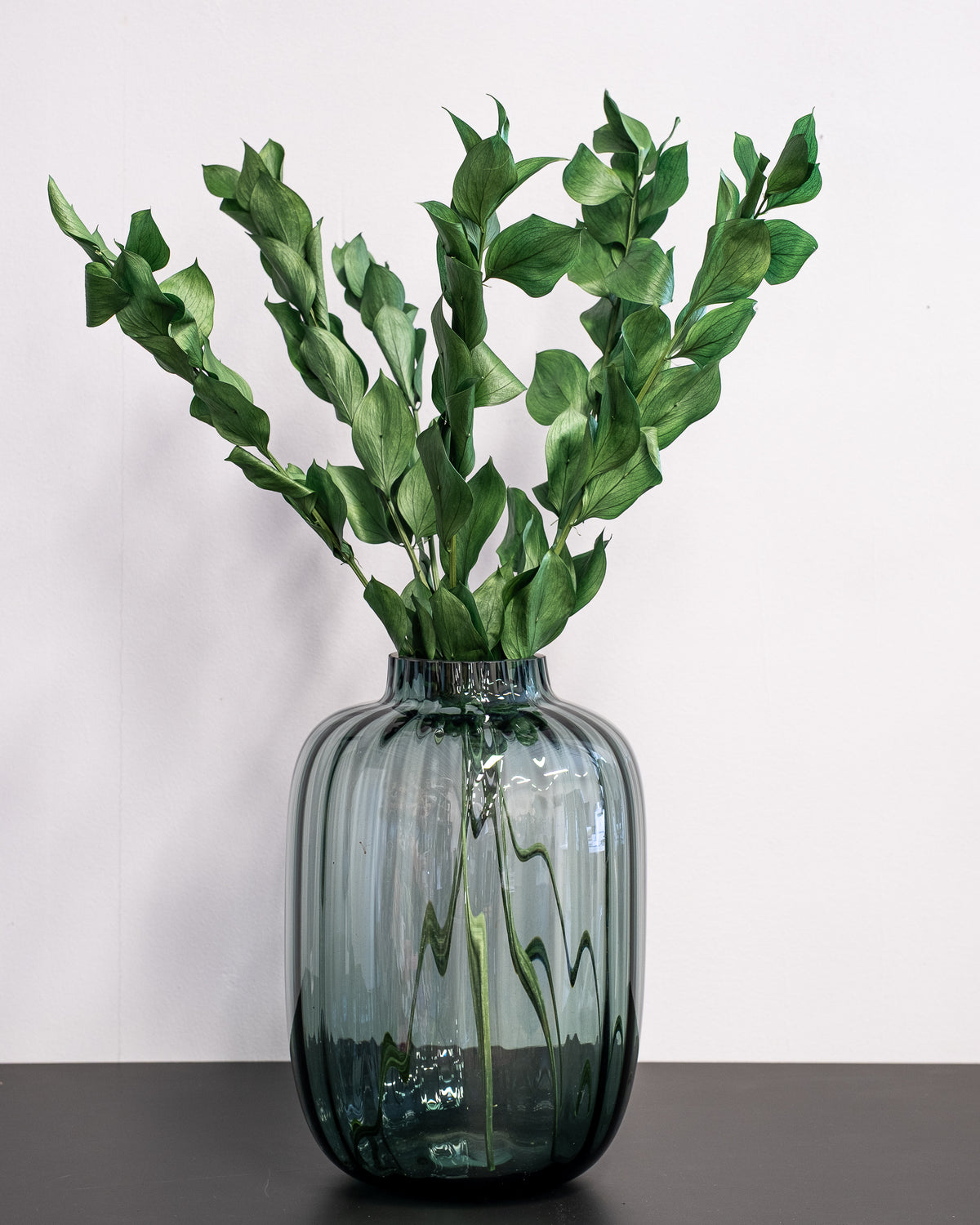 Ruscus Giant Bleached White – Preserved Plant