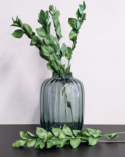 Ruscus Giant Bleached White – Preserved Plant