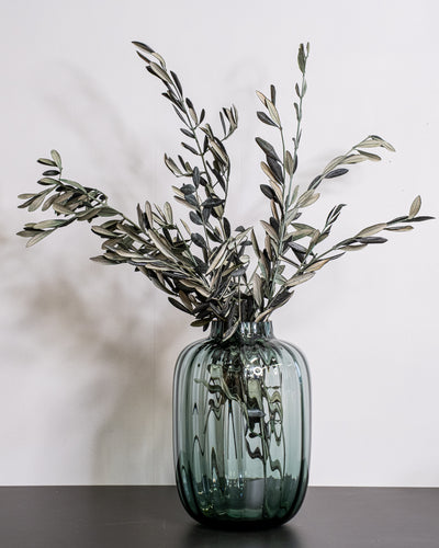 Preserved olive branch with green leaves