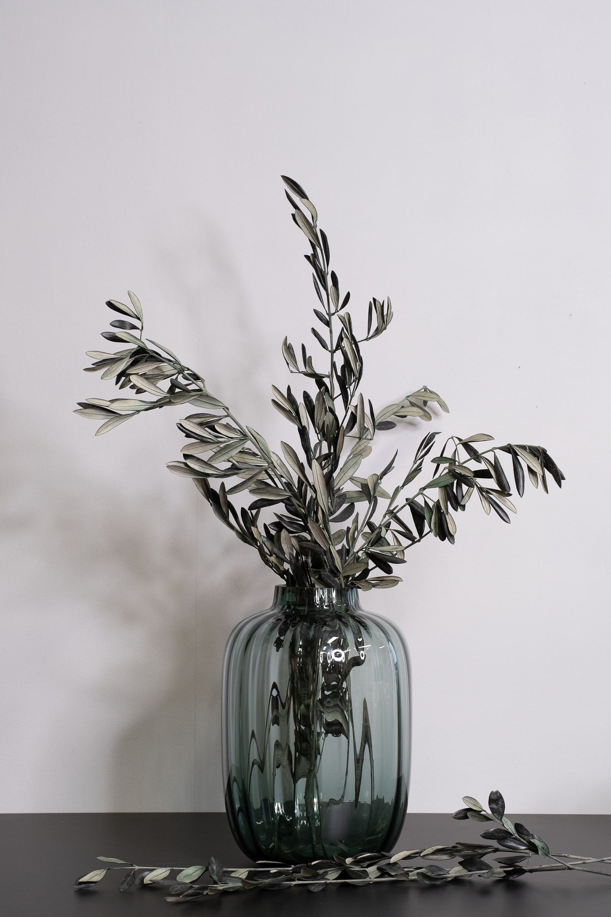 Preserved olive branch with naturally green foliage