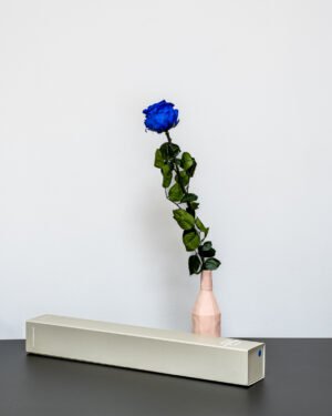 Forever Flora Fi
