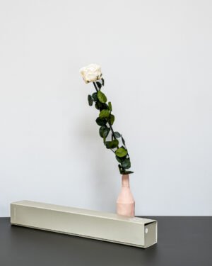 Forever Flora Fi