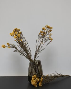 Diosmi Naturell - Säilytetyt kukat 13 Forever Flora Fi