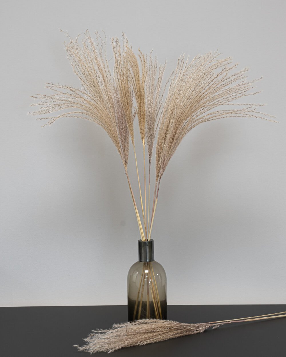 Miscanthus Natural- Kuivatut kukat - Image 3