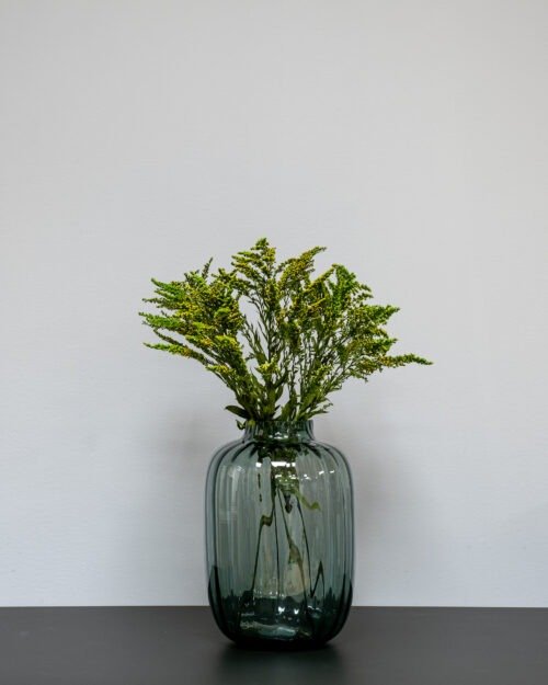 preserved Solidago green-2