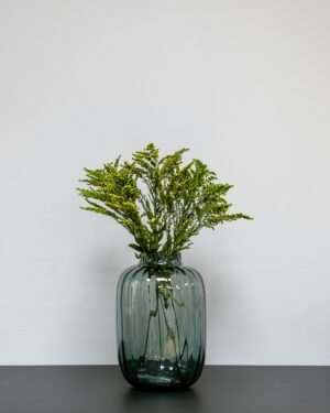 preserved Solidago green-2