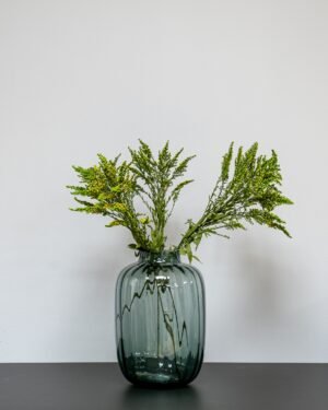 Alternative view of Solidago vihreä - säilötyt kasvit