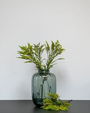 Forever Flora Fi