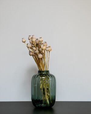Kuivattu Unikko (Poppy) – Luonnolliset siemenkodat (noin 30 siemenkotaa) 8 Forever Flora Fi