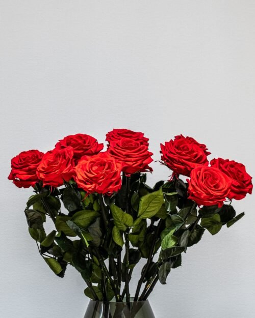 Alternative view of Eksklusiivinen Ikuisuusruusukimppu – Aitoja ruusuja jotka kestävät vuosia (60 cm)